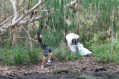 Clean Up Australia Day 2014