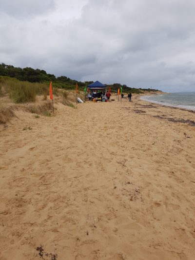 KUAA Summer Beach Party