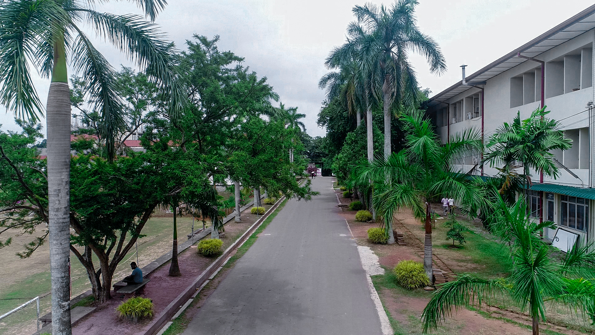 University of Kelaniya campus avenue